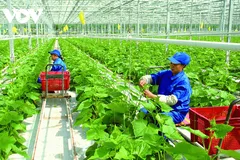 Ảnh minh hoạ: Doanh nhân Sài Gòn