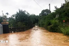 Quảng Trị vẫn còn hơn 1.500 hộ bị ngập