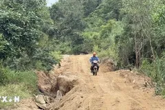 Đắk Lắk di dời hàng trăm hộ dân đến nơi an toàn tránh bão số 15