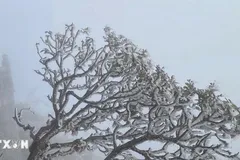 Sơn La cảnh báo xuất hiện băng tuyết từ đêm 13-12