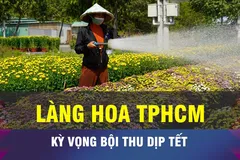 Làng hoa TPHCM kỳ vọng một mùa Tết bội thu