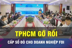 TPHCM ráo riết gỡ vướng cấp sổ đỏ cho doanh nghiệp FDI