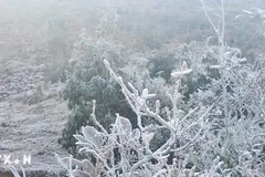 Băng phủ trắng đỉnh Fansipan trong ngày Giáng sinh 2025