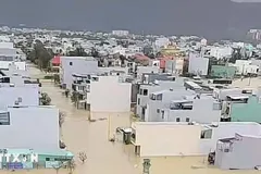 Đức cung cấp thiết bị lọc nước cho 8.000 học sinh, giáo viên bị ảnh hưởng lũ lụt miền Trung