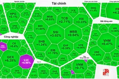 Đóng cửa phiên giao dịch, VN-Index tăng 27,96 điểm (1,69%)