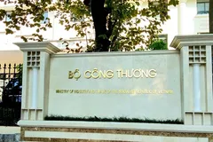 Kiến nghị chuyển hồ sơ sang Bộ Công an các vụ việc liên quan Quy hoạch điện VII