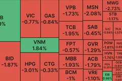 Khối ngoại tranh thủ bắt đáy khi VN Index lao dốc 