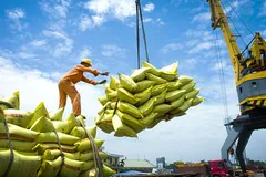 Xuất nhập khẩu năm 2024 liệu có đổi vận? 
