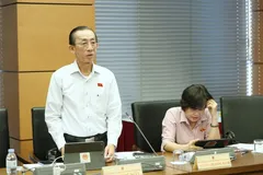 ĐB Trần Hoàng Ngân: 'Quốc hội làm luật nhiều, nhưng phần lớn là sửa đổi'