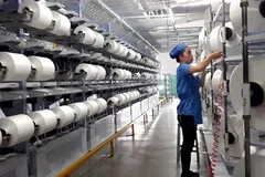 UOB giữ nguyên dự báo tăng trưởng GDP 2026 ở mức 7%