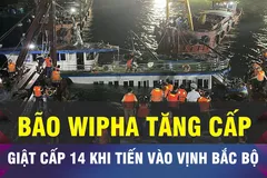 18 GIỜ HÔM NAY: Bão Wipha dự báo mạnh trở lại khi vào vịnh Bắc Bộ