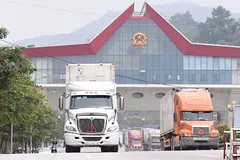 Nông sản Việt Nam xuất sang Trung Quốc bình thường