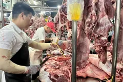 TPHCM: Người dân, doanh nghiệp háo hức chờ sàn giao dịch thịt heo