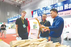 Doanh nghiệp trong nước và quốc tế tìm hiểu dòng sản phẩm gỗ xuất khẩu của doanh nghiệp Việt Nam tại VietnamWood 2025, tạo kết nối thị trường và cơ hội hợp tác. Ảnh: HOÀNG HÙNG