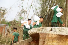 Lính phòng không Lữ đoàn 573, Quân khu 5 huy động bao cát vá đê vỡ tại xã Tuy Phước, Gia Lai, chuẩn bị ứng phó đợt mưa bão mới