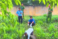 Xả thải vượt quy chuẩn, một doanh nghiệp bị phạt 345 triệu đồng
