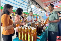 Cực tăng trưởng bền vững của các tỉnh phía Nam