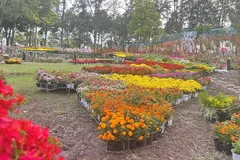 Bản đồ Việt Nam kết từ 1.000 giống hoa gây sốt tại Sa Đéc