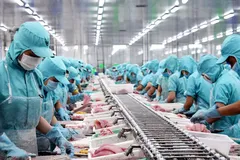 Xuất khẩu thủy sản đạt gần 6 tỷ USD, áp lực đổ dồn vào 6 tháng cuối năm