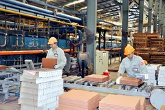 Chuyên gia 'điểm danh' 5 yếu tố khiến kinh tế tư nhân chưa đóng góp nhiều vào GDP