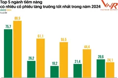 Cổ phiếu ngành nào tăng trưởng tốt nhất trong năm 2024?