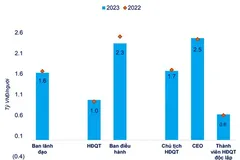 CEO doanh nghiệp lớn thu nhập bình quân 2,5 tỷ đồng một năm