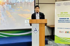 TPHCM: Kết nối giao thương Việt Nam và Singapore 