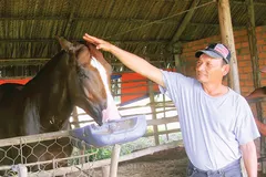 Mai một nghề nuôi ngựa đua