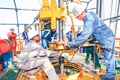 Nhiều biến số khó đoán định