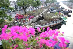 Special spring flower market revives Saigon’s river trade heritage