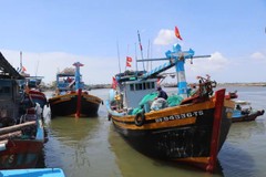 Long Hai steps up fight against illegal fishing