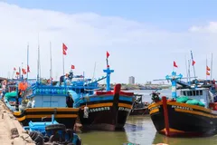 Ho Chi Minh City steps up efforts to combat illegal fishing