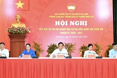 HCMC Party Chief Tran Luu Quang together with NA candidates meets voters 