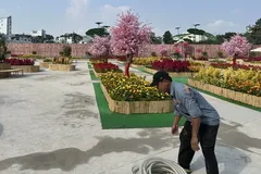 HCMC strengthens oversight of temporary parks on vacant land