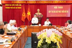 Phó Trưởng đoàn chuyên trách Đoàn ĐBQH TPHCM Trần Thị Diệu Thúy phát biểu tại hội thảo. Ảnh: PHƯƠNG UYÊN