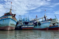 TPHCM nghiên cứu 'thẻ vàng, thẻ đỏ' để quản lý tàu cá vi phạm IUU