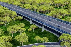 Phối cảnh dự án đường kết nối cầu Mã Đà đến Vành đai 4 - TPHCM. Ảnh: NĐTCC