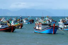 Đội tàu cá của ngư dân Bà Rịa- Vũng Tàu