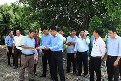 Cơ quan chức năng khảo sát dự án