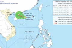 Vị trí và dự báo hướng di chuyển của áp thấp nhiệt đới cập nhật rạng sáng 19-8. Đồ họa: Trung tâm Dự báo khí tượng - thủy văn quốc gia