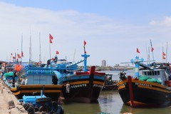 HCMC considers 'yellow card-red card' system for IUU fishing violations