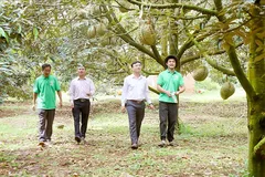 Từ thửa ruộng đến không gian số