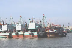 Kiểm soát chặt hoạt động khai thác trên biển là một trong những nhiệm vụ trọng tâm của TPHCM trong tháng cao điểm chống khai thác IUU, hướng tới khắc phục đầy đủ các khuyến nghị của EC