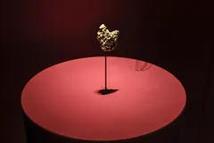 Một mẫu vật vàng được trưng bày tại Bảo tàng Lịch sử Tự nhiên Paris.