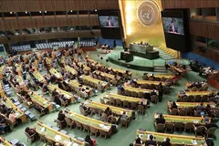 Toàn cảnh phiên họp toàn thể bầu thành viên Hội đồng Nhân quyền LHQ nhiệm kỳ 2026-2028. Ảnh tư liệu - minh họa: TTXVN