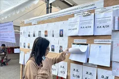 Một cử tri trẻ tuổi tìm hiểu thông tin về các ứng cử viên được giới thiệu tại điểm bầu cử. Ảnh: TTXVN