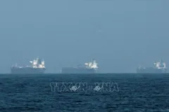 Tàu thuyền đậu ngoài khơi Fujairah, UAE, trong bối cảnh Iran hạn chế hoạt động hàng hải qua Eo biển Hormuz, ngày 3-3. Ảnh: TTXVN