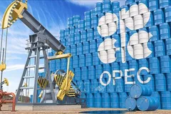 Hình ảnh 3D minh hoạ biểu tượng Tổ chức Các nước xuất khẩu dầu mỏ (OPEC). Ảnh: Shutterstock.com/TTXVN