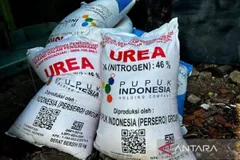 Ít nhất 3 quốc gia đã đề nghị nhập khẩu urê từ Indonesia. Ảnh minh họa: antaranews.com