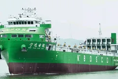 Tàu Ning Yuan Dian Kun. Ảnh: bairdmaritime.com